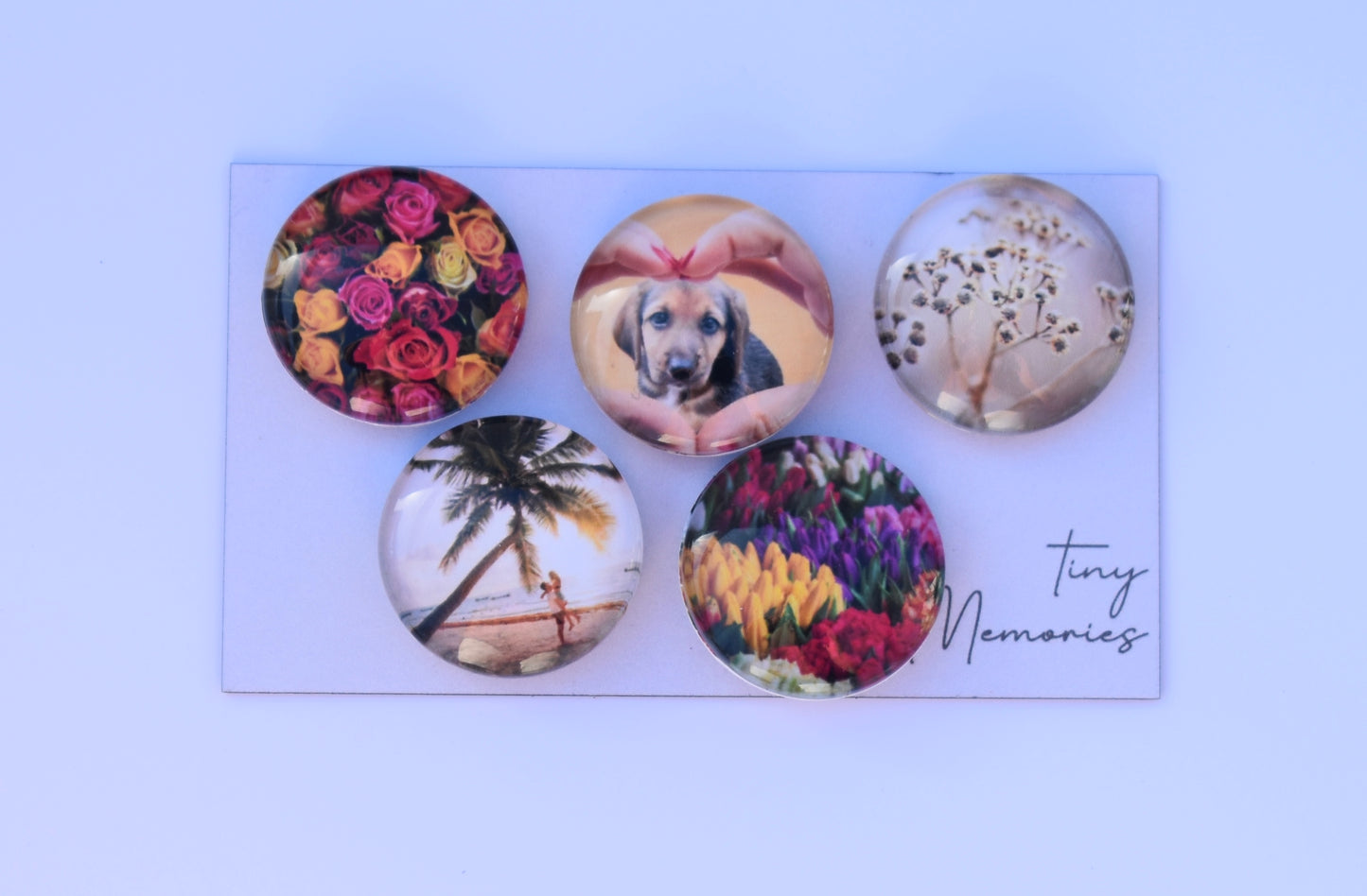 Glass Magnets set of 5
